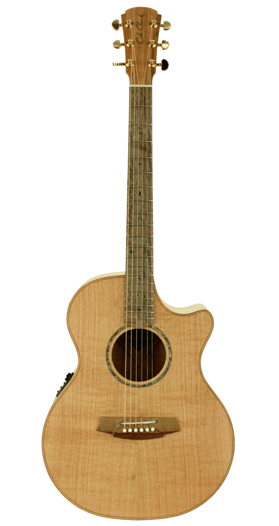 🎸 🎛 Cole Clark AN2 EC SSO - Unbiased Sound Review