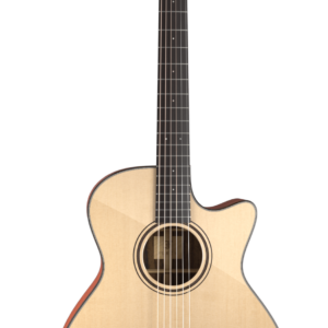 Photo of an acoustic guitar - Furch Green Gc-sm